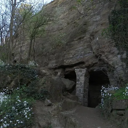 公寓 In Casa Ciliegia 巴拉顿菲赖德